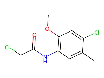 2-chloro-N-(4-chloro-2-methoxy-5-methylphenyl)acetamide structure