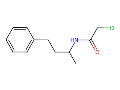 2-chloro-N-(4-phenylbutan-2-yl)acetamide structure