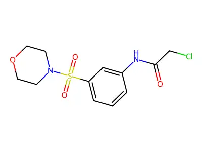 2-chloro-N-[3-(morpholine-4-sulfonyl)phenyl]acetamide structure