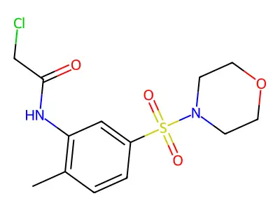 2-chloro-N-[2-methyl-5-(morpholine-4-sulfonyl)phenyl]acetamide structure