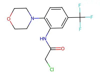 2-chloro-N-[2-(morpholin-4-yl)-5-(trifluoromethyl)phenyl]acetamide structure