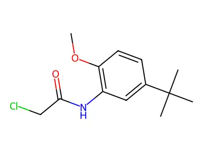 N-(5-tert-butyl-2-methoxyphenyl)-2-chloroacetamide structure