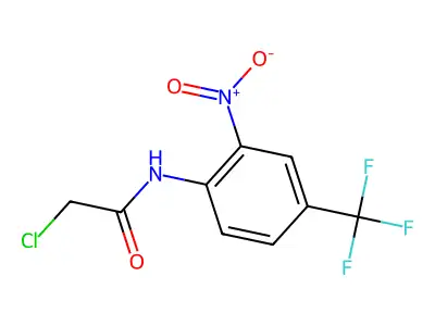 2-chloro-N-[2-nitro-4-(trifluoromethyl)phenyl]acetamide structure