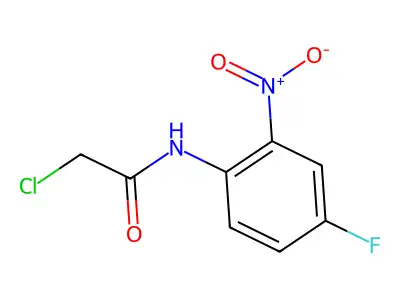 2-chloro-N-(4-fluoro-2-nitrophenyl)acetamide structure
