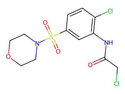 2-chloro-N-(2-chloro-5-(morpholine-4-sulfonyl)phenyl)acetamide structure