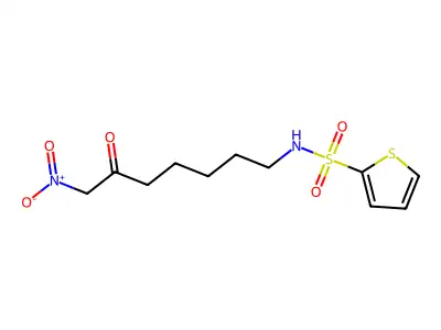 7-nitro-6-oxo-S-(thiophen-2-yl)heptane-1-sulfonamido structure