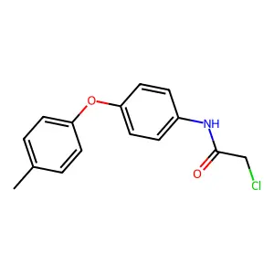2-chloro-N-[4-(4-methylphenoxy)phenyl]acetamide structure