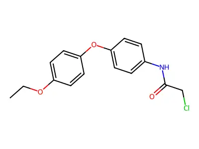 2-chloro-N-[4-(4-ethoxyphenoxy)phenyl]acetamide structure