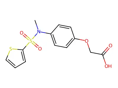 2-[4-(N-methylthiophene-2-sulfonamido)phenoxy]acetic acid structure