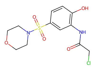 2-chloro-N-(2-hydroxy-5-morpholin-4-ylsulfonylphenyl)acetamide structure