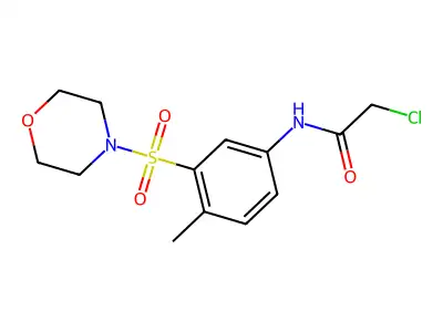 2-chloro-N-[4-methyl-3-(morpholine-4-sulfonyl)phenyl]acetamide structure
