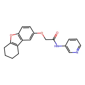 N-pyridin-3-yl-2-(6,7,8,9-tetrahydrodibenzofuran-2-yloxy)acetamide structure