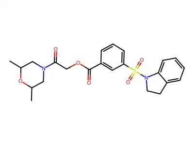 [2-(2,6-dimethylmorpholin-4-yl)-2-oxoethyl] 3-(2,3-dihydroindol-1-ylsulfonyl)benzoate structure