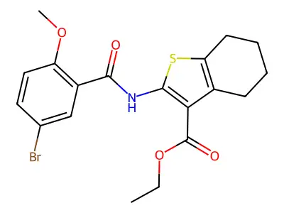BIM-0010147.P001 structure