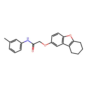 N-(3-methylphenyl)-2-(6,7,8,9-tetrahydrodibenzo[b,d]furan-2-yloxy)acetamide structure