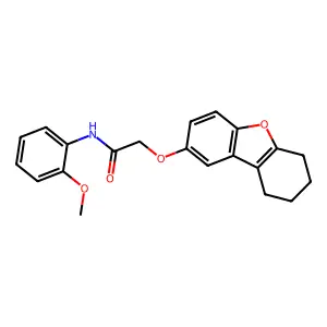 N-(2-methoxyphenyl)-2-(6,7,8,9-tetrahydrodibenzofuran-2-yloxy)acetamide structure