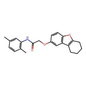 N-(2,5-dimethylphenyl)-2-(6,7,8,9-tetrahydrodibenzofuran-2-yloxy)acetamide structure
