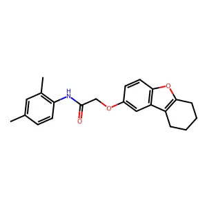 N-(2,4-dimethylphenyl)-2-(6,7,8,9-tetrahydrodibenzofuran-2-yloxy)acetamide structure
