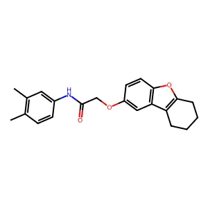 N-(3,4-dimethylphenyl)-2-(6,7,8,9-tetrahydrodibenzofuran-2-yloxy)acetamide structure