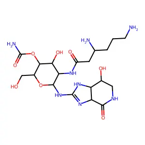 Streptothricin F structure