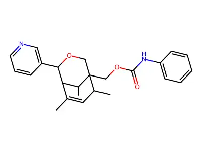 TimTec1_001039 structure