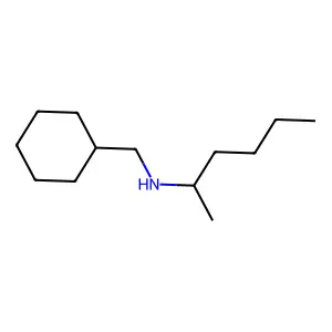 N-(环己基甲基)己-2-胺 structure