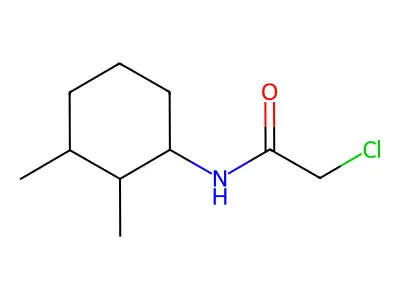 2-chloro-N-(2,3-dimethylcyclohexyl)acetamide structure