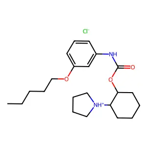 Anulcen structure