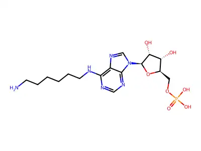 N(6)-aminohexyladenosine monophosphate structure