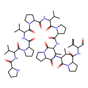 MZ 218 structure