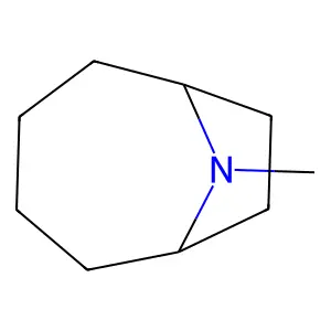 9-Azabicyclo[4.2.1]nonane, 9-methyl- structure