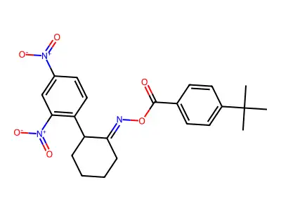 (4-tert-Butylphenyl)({[2-(2,4-dinitrophenyl)cyclohexylidene]amino}oxy)methanone structure