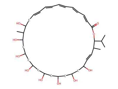 Mycoticin a structure