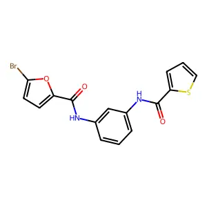 5-bromo-N-[3-(thiophene-2-carbonylamino)phenyl]furan-2-carboxamide structure
