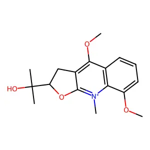 Balfourodinium structure