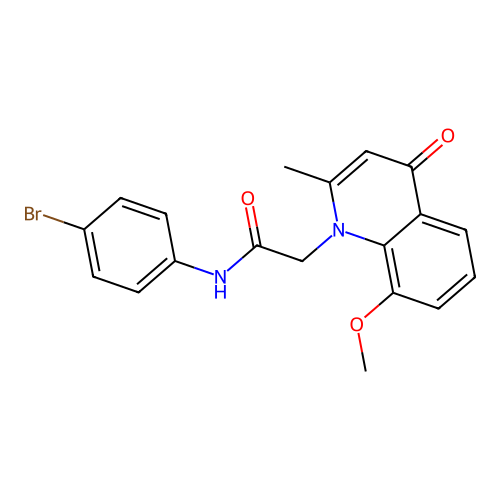 N-(4-bromophenyl)-2-(8-methoxy-2-methyl-4-oxoquinolin-1(4H)-yl)acetamide structure