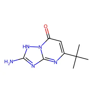 2-amino-5-tert-butyl[1,2,4]triazolo[1,5-a]pyrimidin-7(4H)-one structure