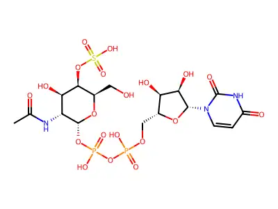 uridine diphosphate-N-acetylgalactosamine 4-sulfate structure