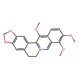 Benzo(g)-1,3-benzodioxolo(5,6-a)quinolizinium, 5,6-dihydro-9,10,13-trimethoxy- structure