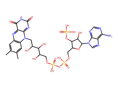 Flavin-adenine dinucleotide phosphate structure