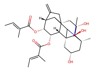 Anopterine structure