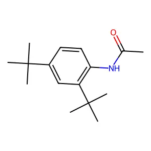 Acetanilide, 2,4-di-tert-butyl- structure