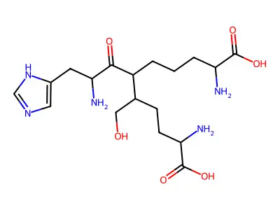 Aldol-histidine structure