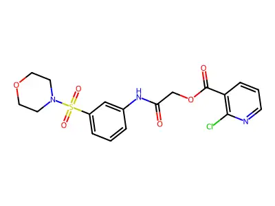 (3-morpholin-4-ylsulfonylphenyl)carbamoylmethyl 2-chloropyridine-3-carboxylate structure