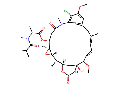 Maytanbutine structure