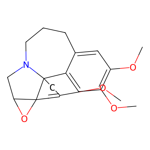 Wilsonine structure