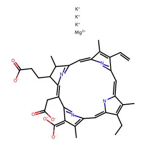 Potassium chlorophyllin a structure