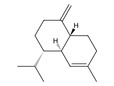 犬尿氨酸 structure