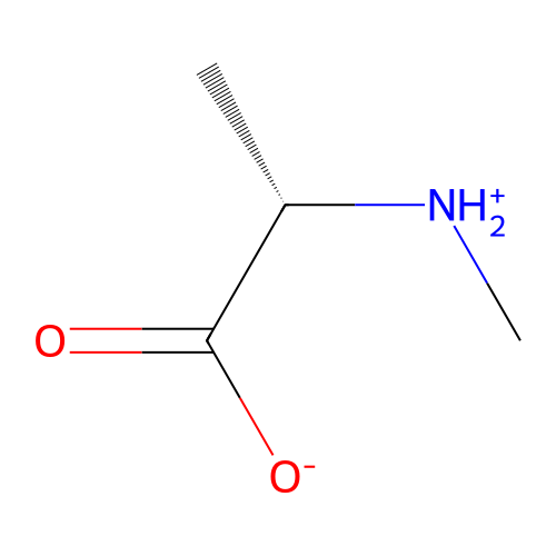 N-methylalanine zwitterion structure