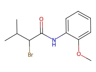 2-bromo-N-(2-methoxyphenyl)-3-methylbutanamide structure